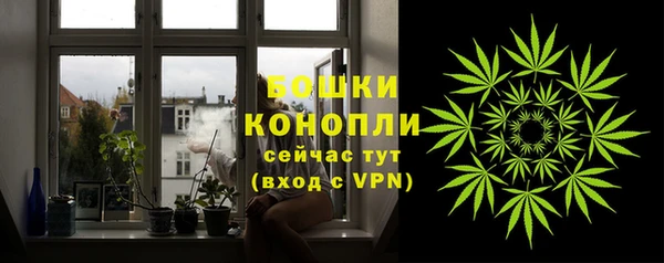 стафф Бронницы