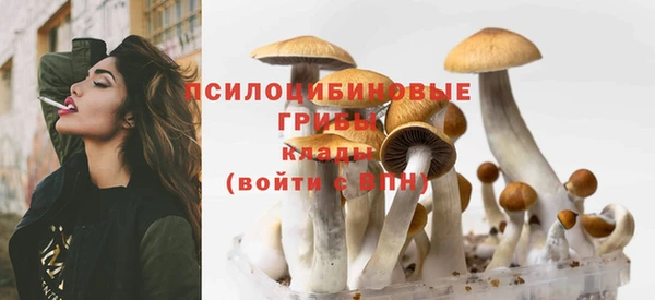стафф Бронницы