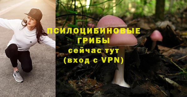 гашиш Бородино