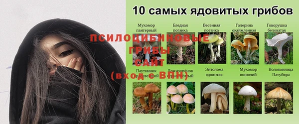 мяу мяу мука Бугульма