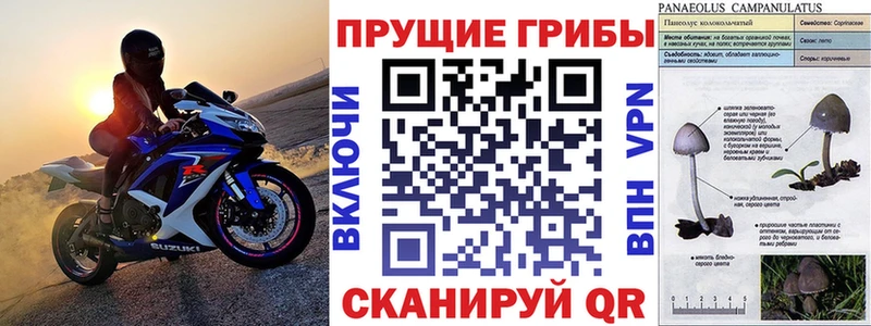 кракен tor  Грайворон  Галлюциногенные грибы MAGIC MUSHROOMS 