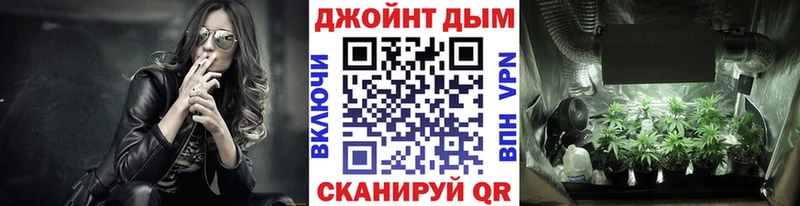 Конопля ГИДРОПОН  Грайворон 